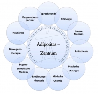 Adipositas_Uebersichtsgrafik